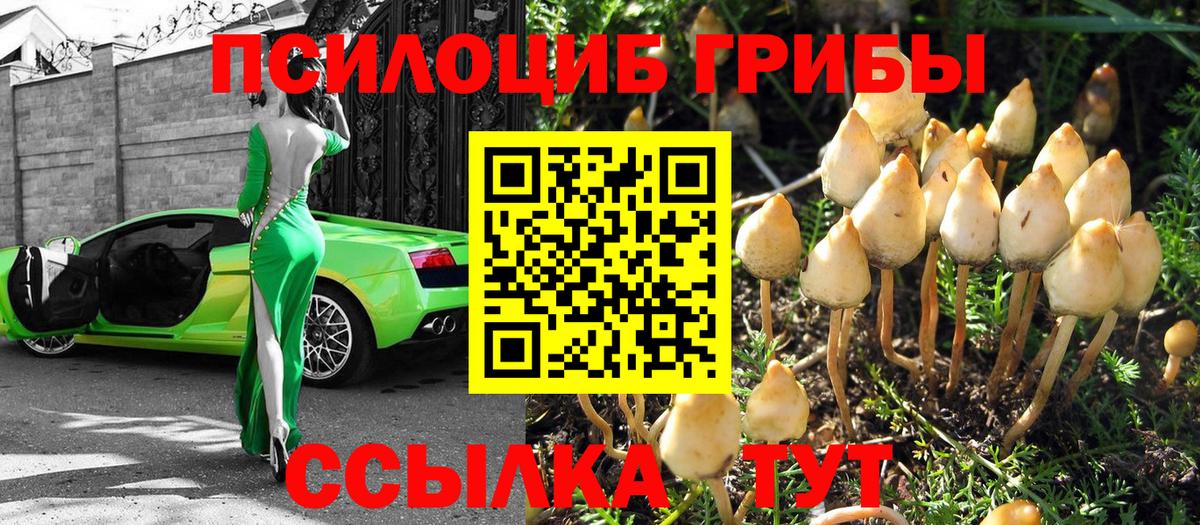 Галлюциногенные грибы прущие грибы  Вход с VPN  купить наркотики цена  Шелехов  Галлюциногенные грибы ЛСД 