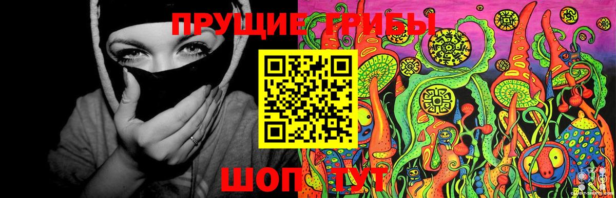 Галлюциногенные грибы GOLDEN TEACHER Шелехов